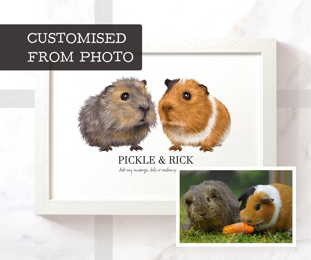 Two guinea pigs art print in A4 white frame with personalised fur colours and pet name