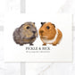 Two guinea pigs illustrated A3 print with personalised fur colours and pet names Pickle and Rick