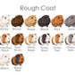 guinea pig colour chart for rough coat fur option