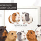 Two guinea pigs wall art print in A3 frame with personalised pet names Woody and Buzz