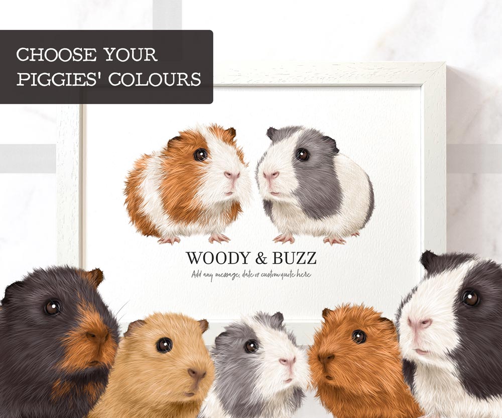 Two guinea pigs wall art print in A3 frame with personalised pet names Woody and Buzz