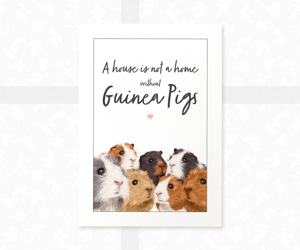 A4 illustrated art print with quote "A house is not a home without guinea pigs"