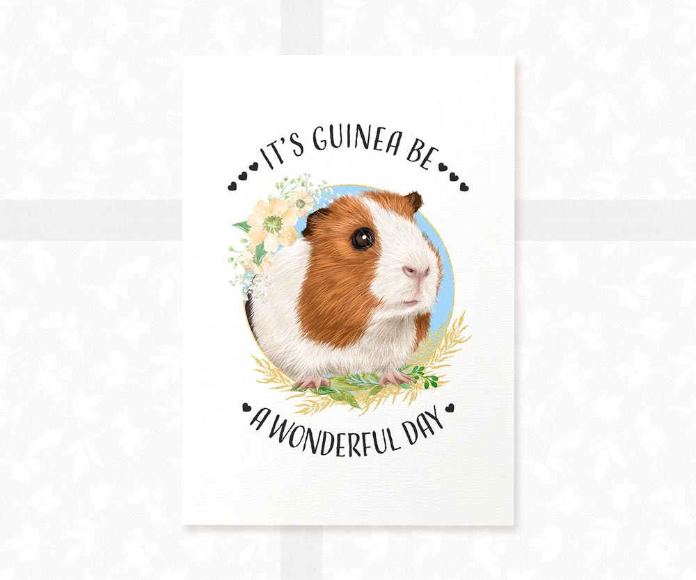 Guinea sales pig shop