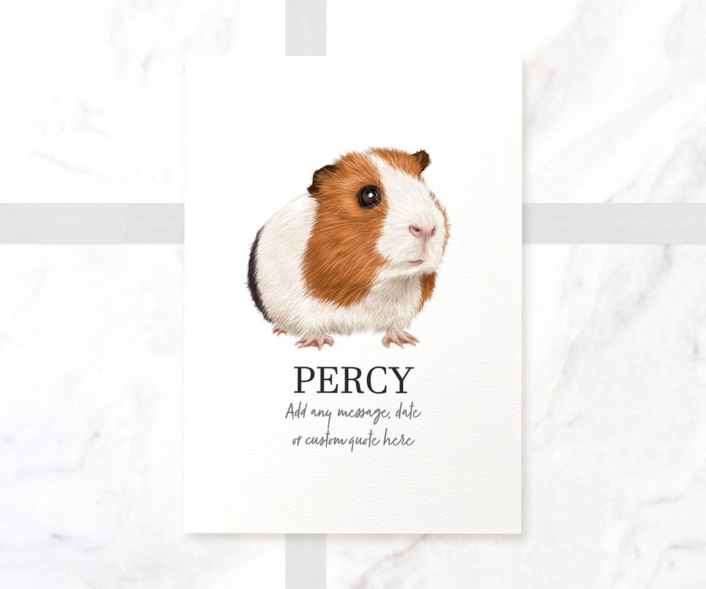 A4 unframed tricolour guinea pig illustrated wall art print with pet name Percy in portrait orientation
