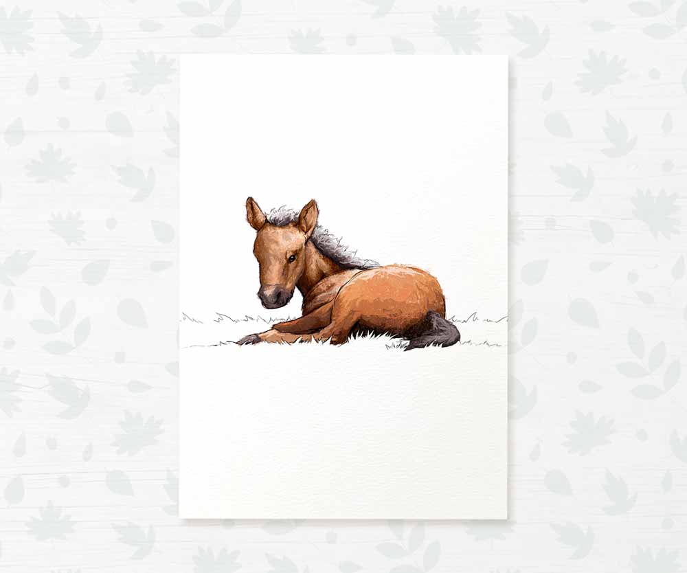 Farm Animal Nursery Prints New Baby Shower Gift Boy Girl Horse Wall Art Set Playroom Decor