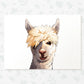 Llama Face Print