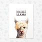 Llama Print "Don't be such a Drama Llama"