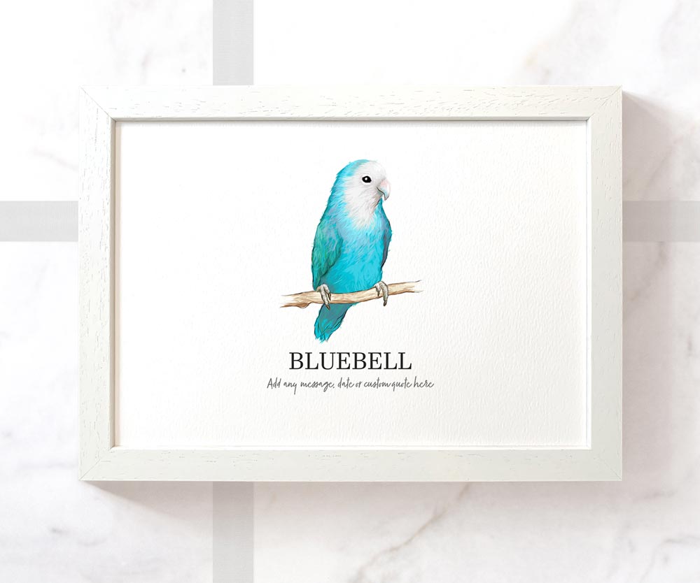 Dutch Blue Lovebird Personalised Poster Pet Portrait Memorial Loss Birthday Christmas Gift Name Custom Framed Print
