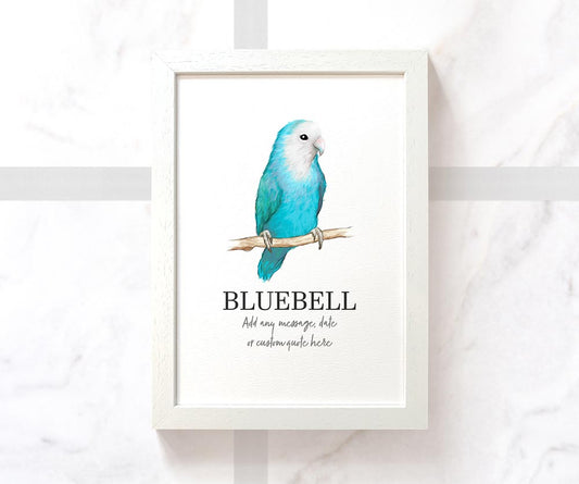 Dutch Blue Lovebird Bird Pet Portrait Memorial Loss Birthday Christmas Gift Name Sign Personalised Framed Art Print