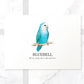 Dutch Blue Lovebird Decor Poster New Pet Portrait Memorial Loss Christmas Gift Name Custom Wall Art