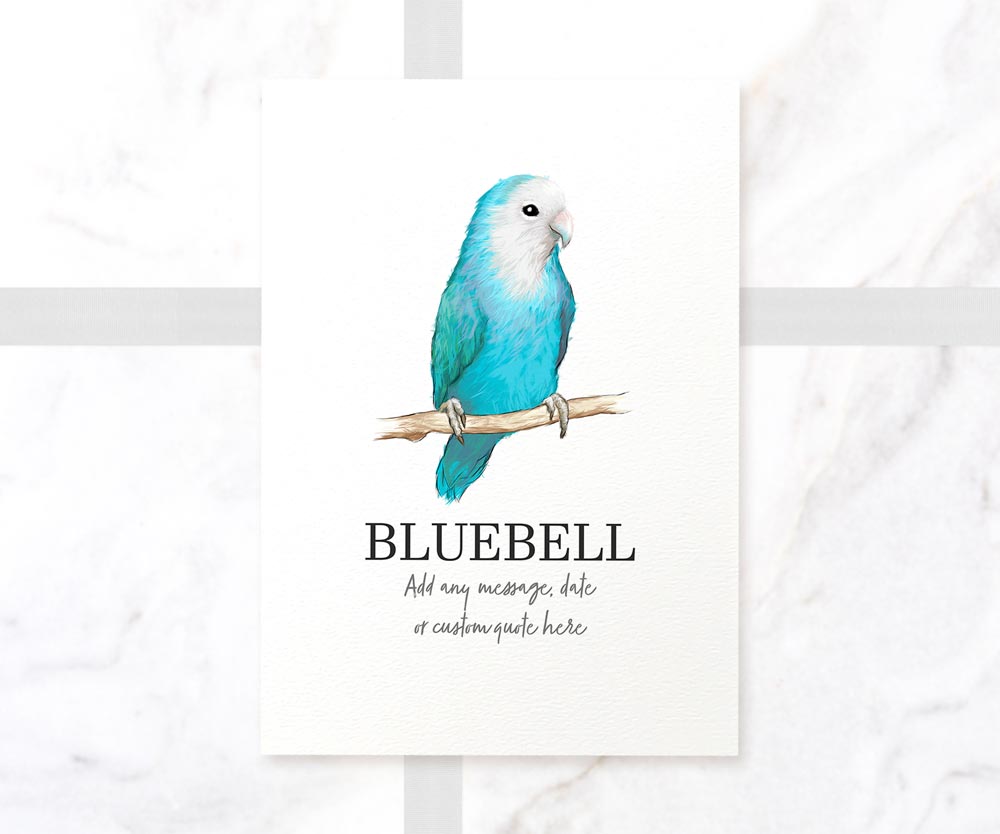 Dutch Blue Lovebird Bird Personalised New Pet Portrait Memorial Loss Christmas Gift Custom Art Poster Print