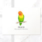 Peach Faced Lovebird Bird Personalised New Pet Portrait Memorial Loss Christmas Gift Custom Art Poster Print
