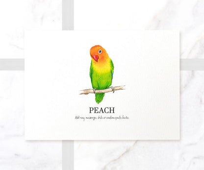 Peach Faced Lovebird Bird Personalised New Pet Portrait Memorial Loss Christmas Gift Custom Art Poster Print