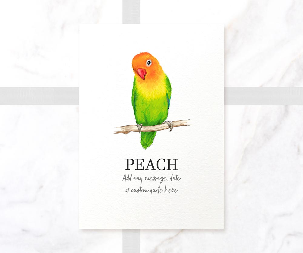 Peach Faced Lovebird Decor Poster New Pet Portrait Memorial Loss Christmas Gift Name Custom Wall Art