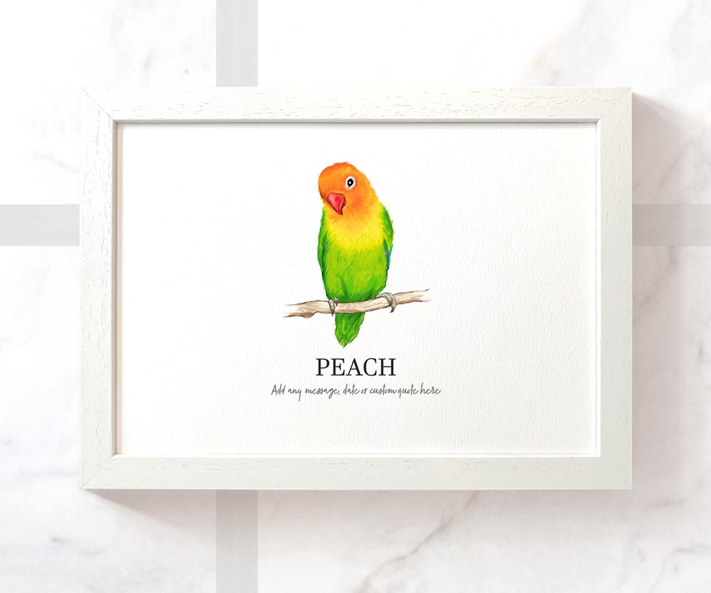 Peach Faced Lovebird Personalised Poster Pet Portrait Memorial Loss Birthday Christmas Gift Name Custom Framed Print