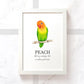 Peach Faced Lovebird Bird Pet Portrait Memorial Loss Birthday Christmas Gift Name Sign Personalised Framed Art Print
