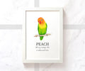 Peach Faced Lovebird Pet Name Print