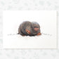 Mole Woodland Animal Nursery Print