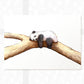 Sleeping Panda Nursery Print