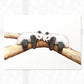 Pandas Animal Nursery Print for Twins
