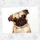 Fawn Pug Print