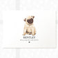 New Pug Dog Birthday Pet Portrait Memorial Loss Adoption Christmas Gift Name Sign Personalised Art Print