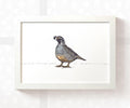 Quail Woodland Bird Nursery Print