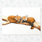 Red Panda Family Nursery Print | Two Adults Two Babies