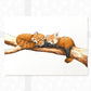 Red Panda Family Nursery Print | Two Adults One Baby