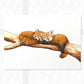 Red Pandas Animal Nursery Print for Twins