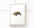 Tortoise Nursery Print