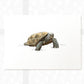 Tortoise Nursery Print