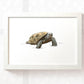 Tortoise Nursery Art Print | Children's Wall Art