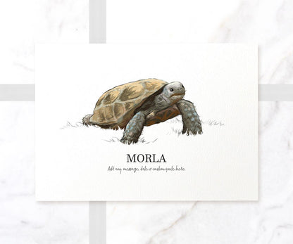 Tortoise Turtle Lizard Personalised New Pet Portrait Memorial Loss Christmas Gift Custom Wall Art Poster Print