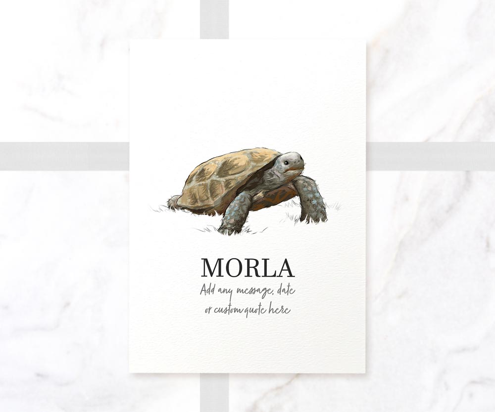 Tortoise Turtle Decor Poster New Pet Portrait Memorial Loss Christmas Gift Name Custom Wall Art Print
