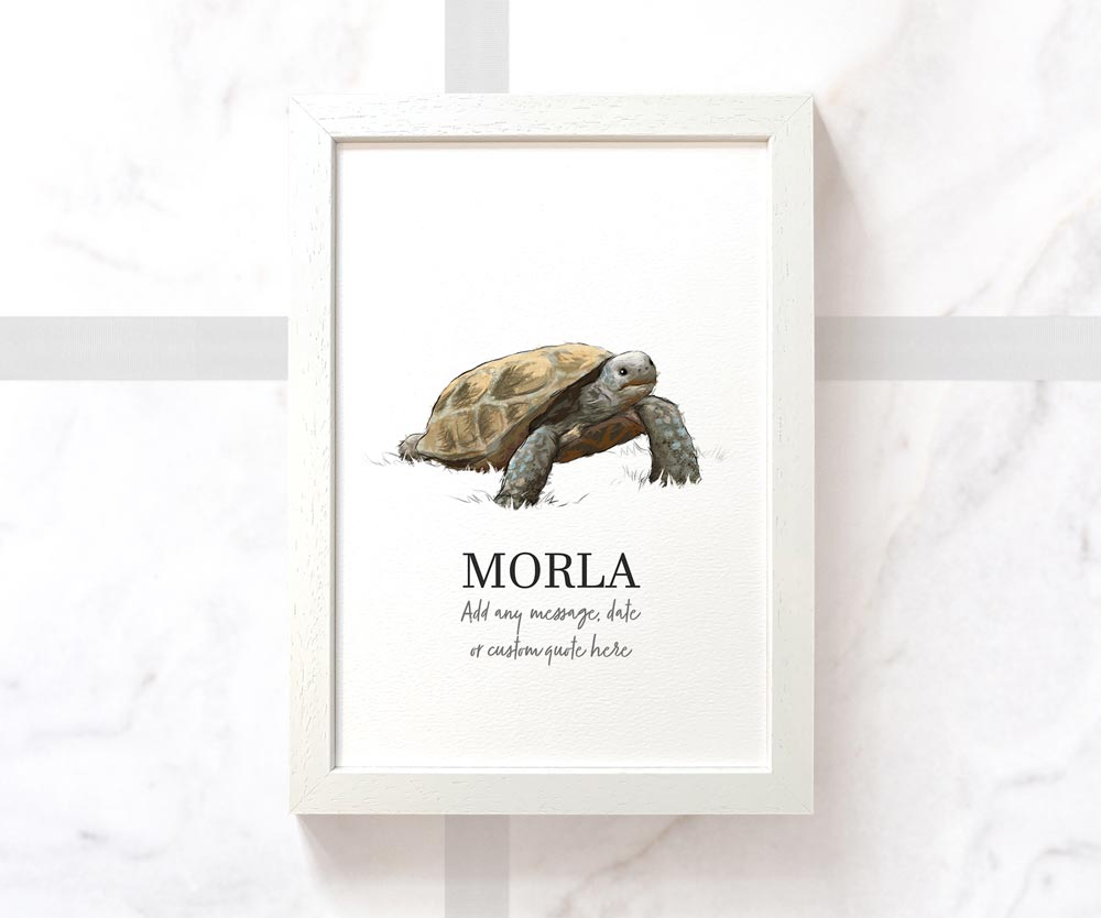 Tortoise Turtle Personalised Poster Pet Portrait Memorial Loss Birthday Christmas Gift Name Sign Custom Framed Print