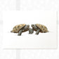 Tortoise Animal Nursery Print for Twins