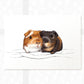 Guinea Pig Print