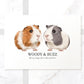 Guinea pigs customised wall art on A4 textured paper with personalised pet names Woody and Buzz